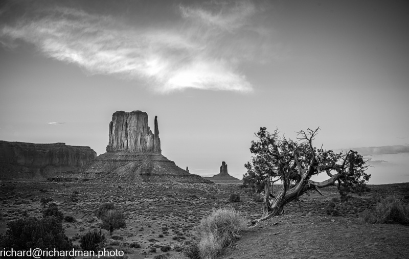 L1011866-Edit-Edit-Edit