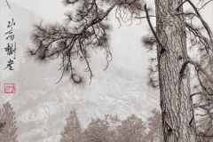 2020-10-Yosemite-Edit-Edit-withChop-printedPoem