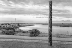810-202012-PaloAltoBayland-positive-Edit-Edit